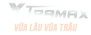 logo-xtramax-sui